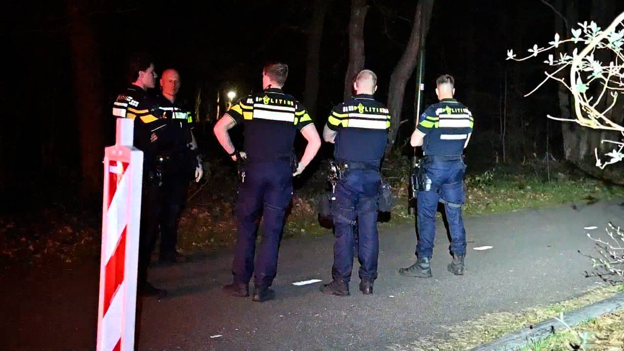 Man wordt met behulp van een politiehond aangehouden in het bos in Waalre