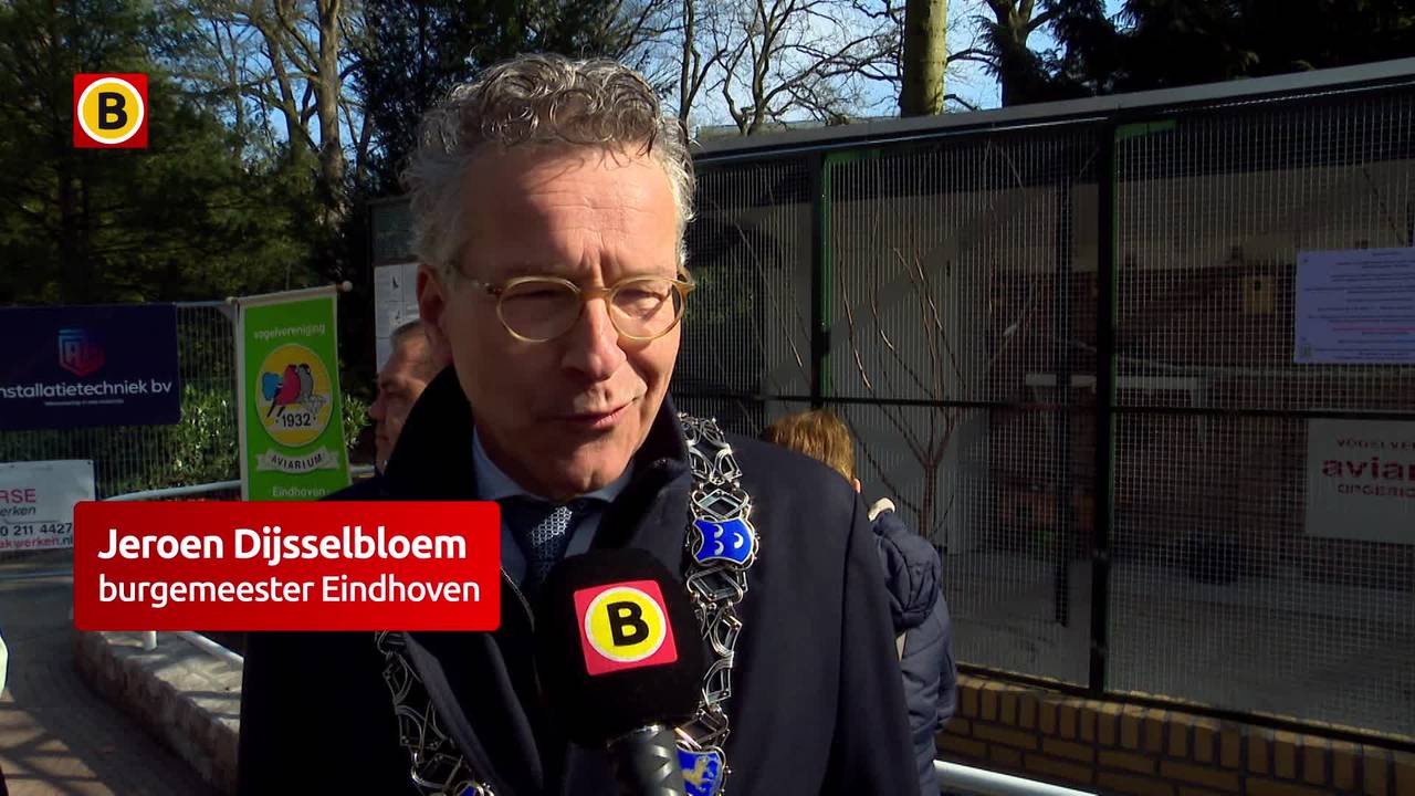 WEB_HOR_VOGELTJES