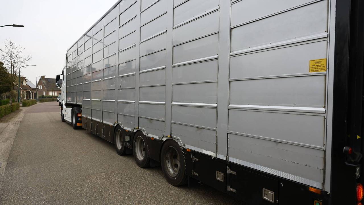 Vrachtwagenchauffeur rijdt spoorboom kapot in holthees (foto: SK Media/Persbureau Heitink).