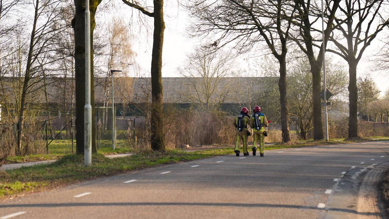 Foto: Harrie Grijseels / Persbureau Heitink