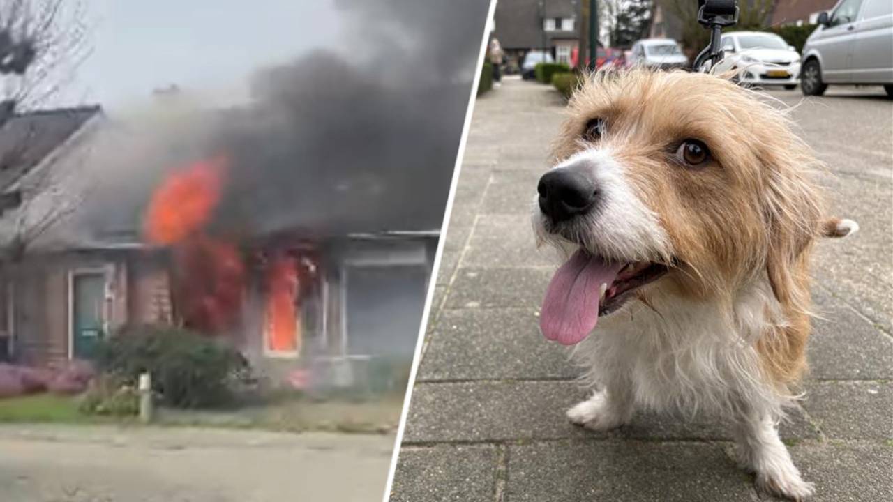 Huis in Biezenmortel compleet verwoest door brand (foto rechts: Luuk van de Lee, foto links: Jan Peels / Omroep Brabant).