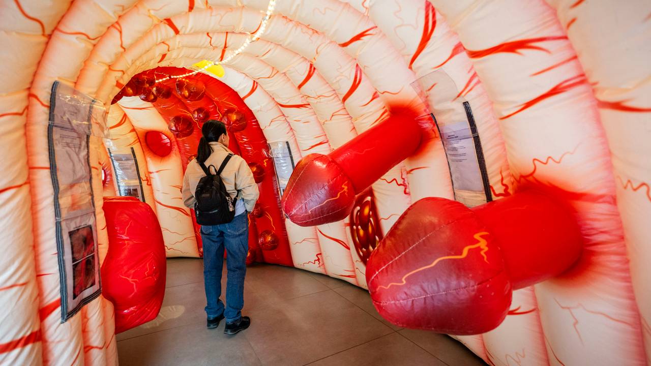 De opblaasbare darm (foto: Amphia Ziekenhuis).