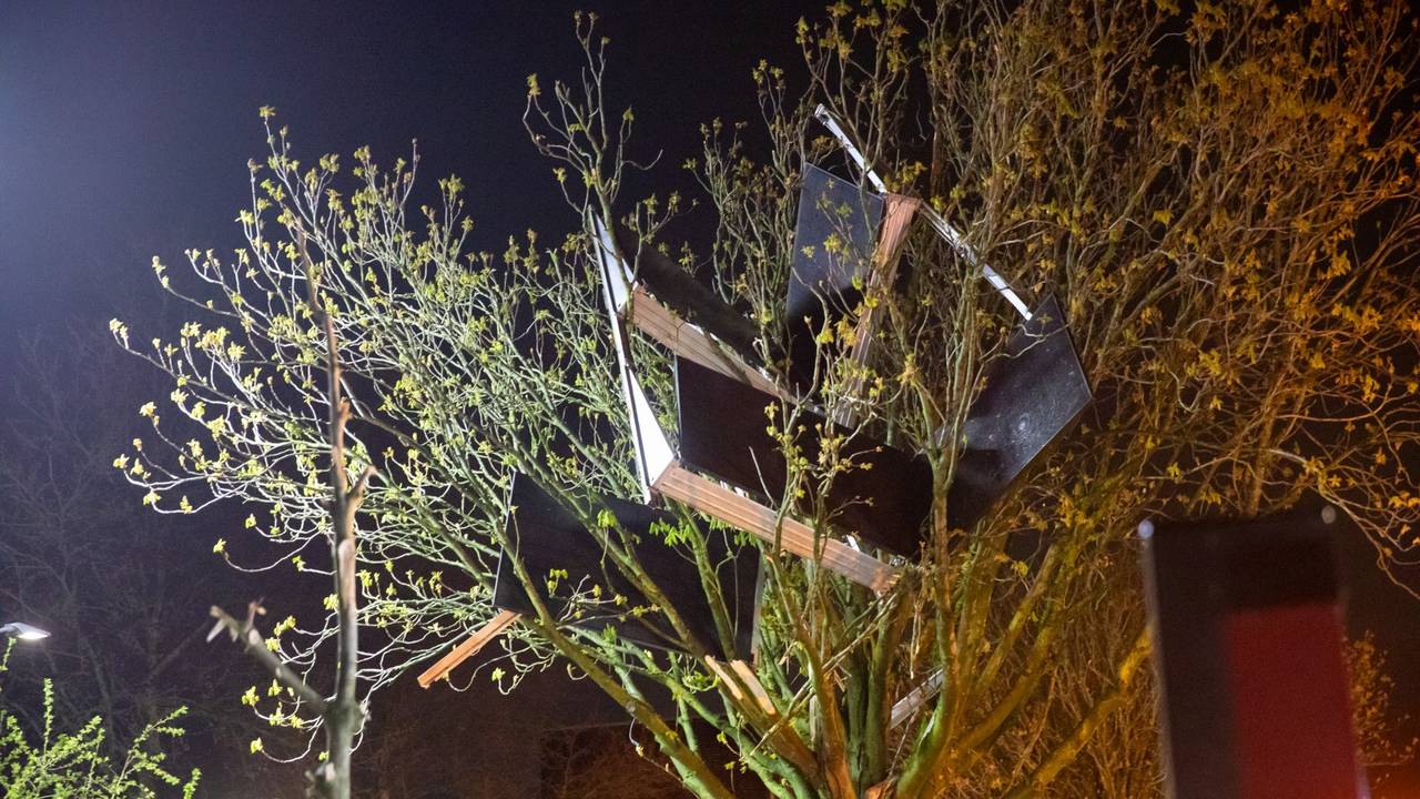 Een deel van de weggewaaide zonnepanelen belandde in een boom (foto: Christian Traets/Persbureau Heitink).