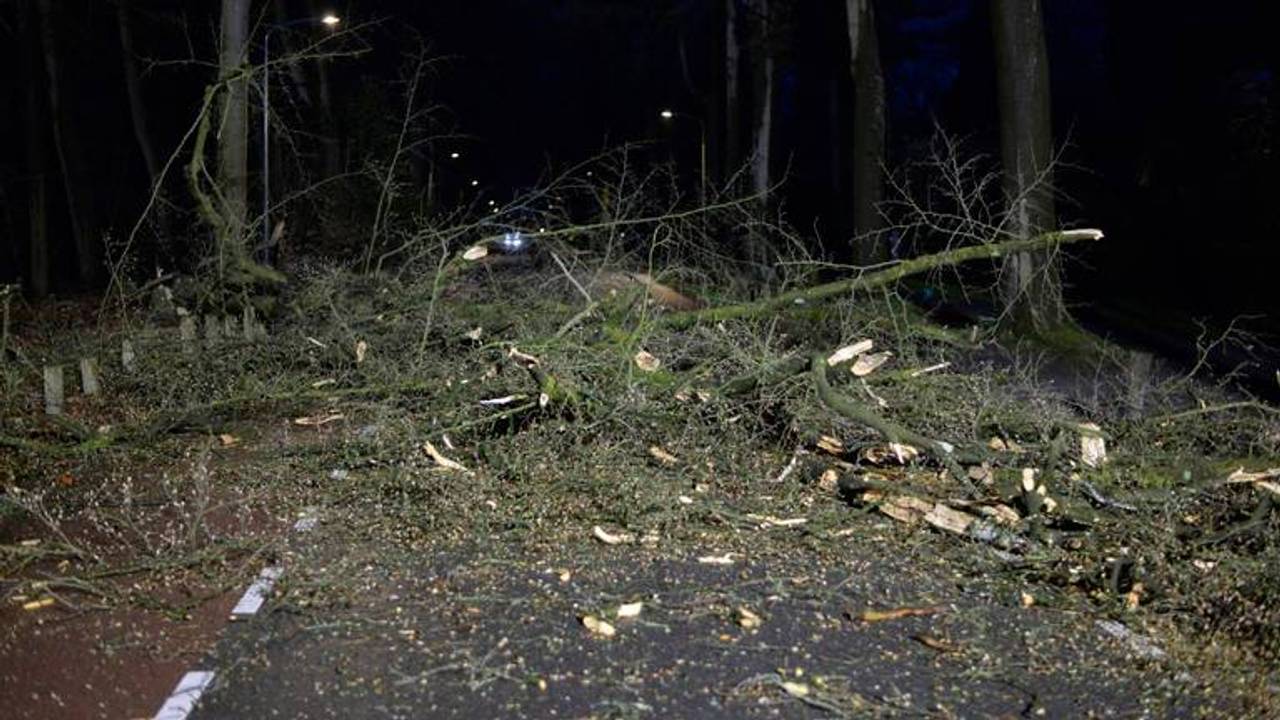 Zondagnacht lagen er veel takken op de Brabantse wegen (Foto: Perry Roovers/Persbureau Heitink). Zondagnacht lagen er veel takken op de Brabantse wegen (Foto: Perry Roovers/Persbureau Heitink).