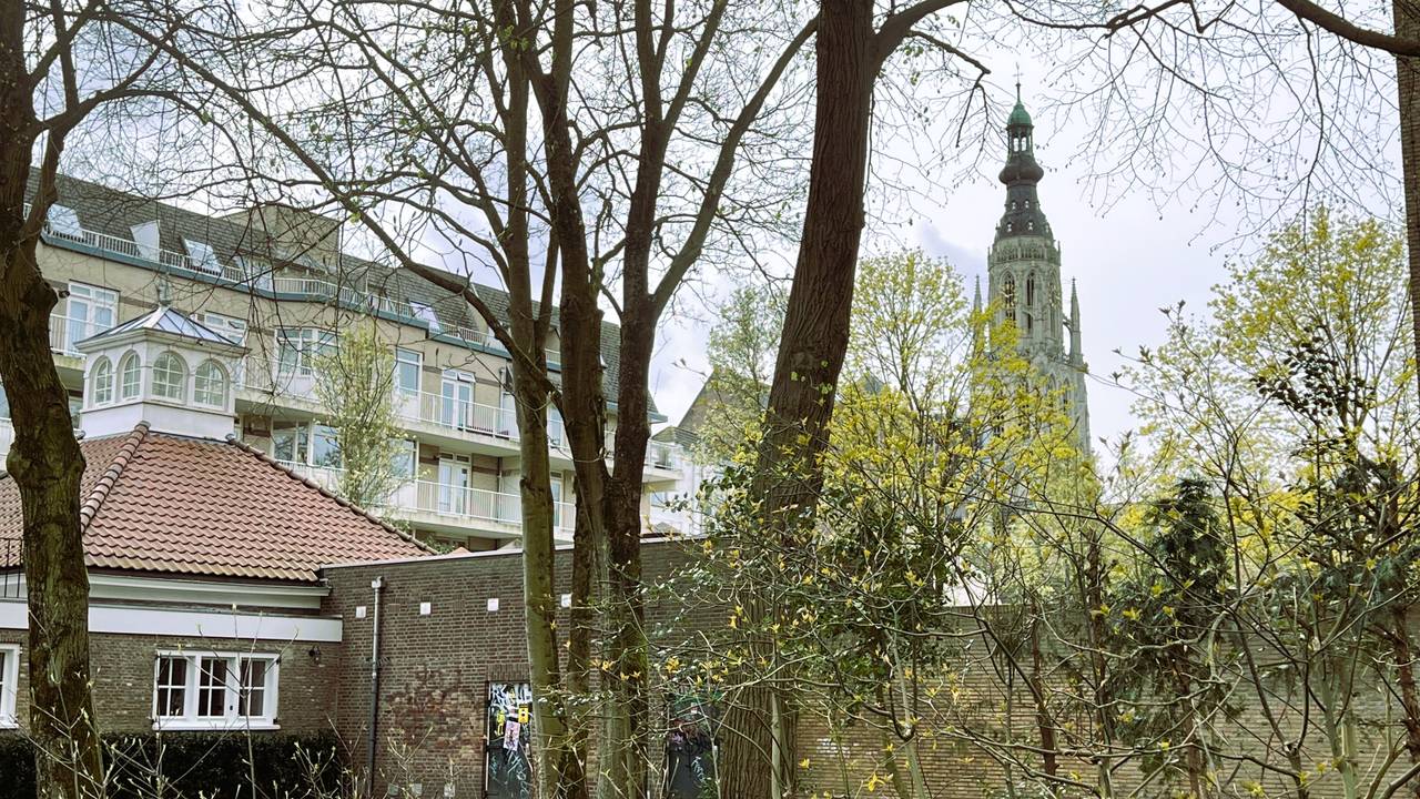 Lentegroen voor de Grote Kerk in Breda (foto: Henk Voermans).