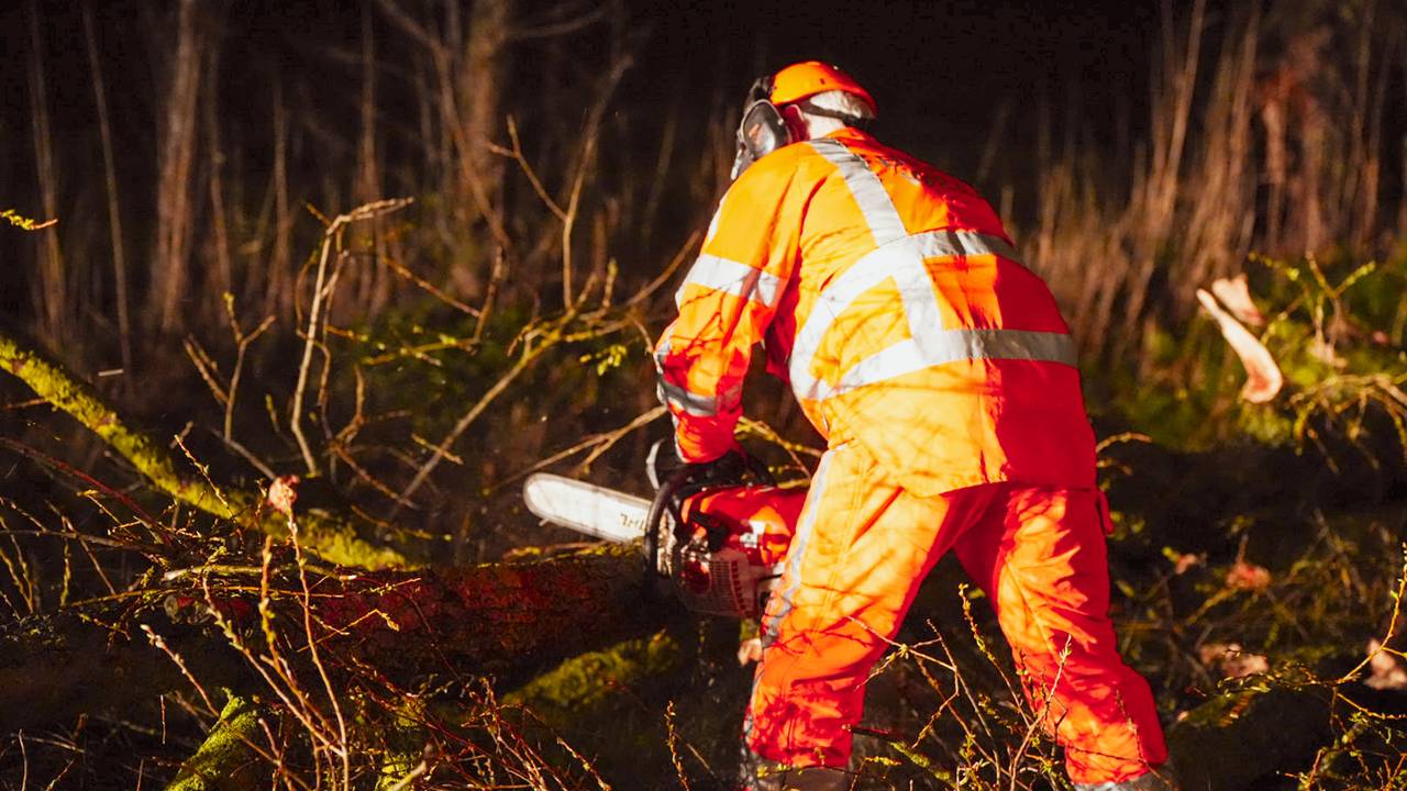 Omgevallen boom blokkeert weg in Waalwijk