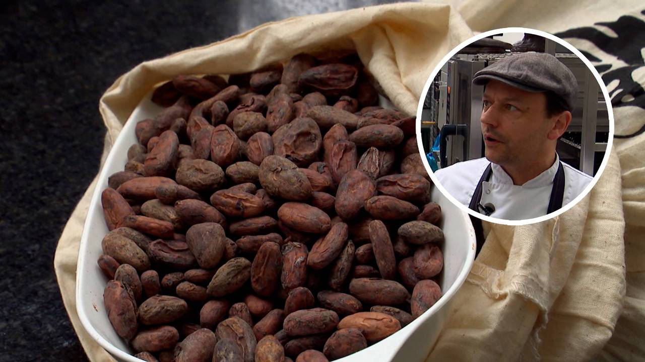 Chocolatier Hein Geers met zijn cacaobonen uit Honduras (foto: Omroep Brabant).