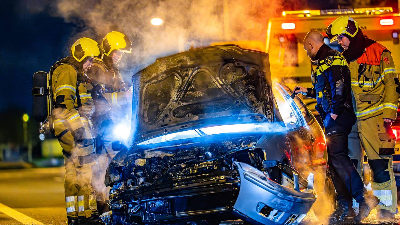 De bestuurder rende de bosjes in na de crash op de A59 (foto: Lucas Lammers/Persbureau Heitink).