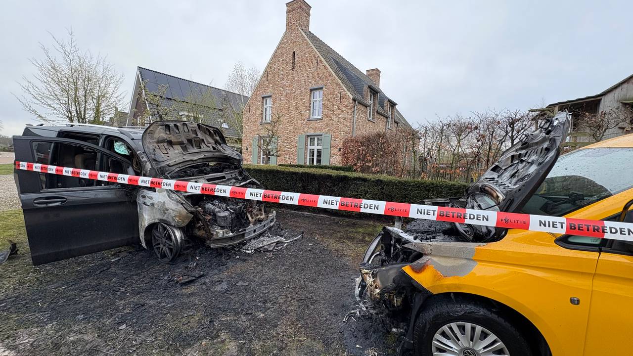 Op de Meerweg in Heesch gingen meerdere auto's in vlammen op (Imke van de Laar)