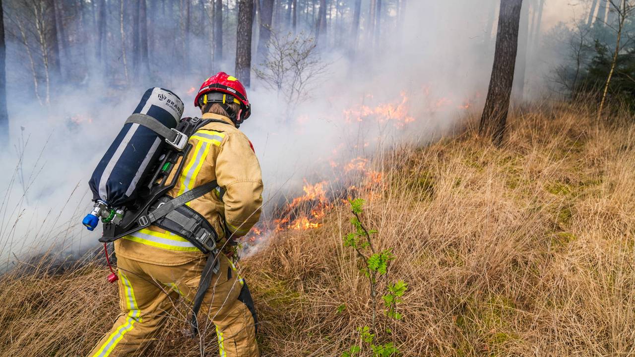Bosbrand in Heeze onder controle, brandweer nog bezig met nablussen (foto: Dave Hendriks / Persbureau Heitink).