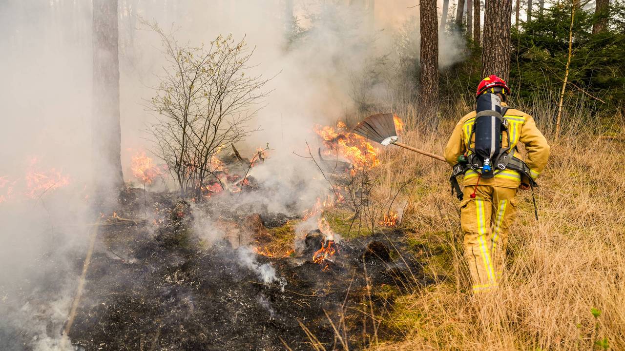 Bosbrand in Heeze onder controle, brandweer nog bezig met nablussen (foto: Dave Hendriks / Persbureau Heitink).