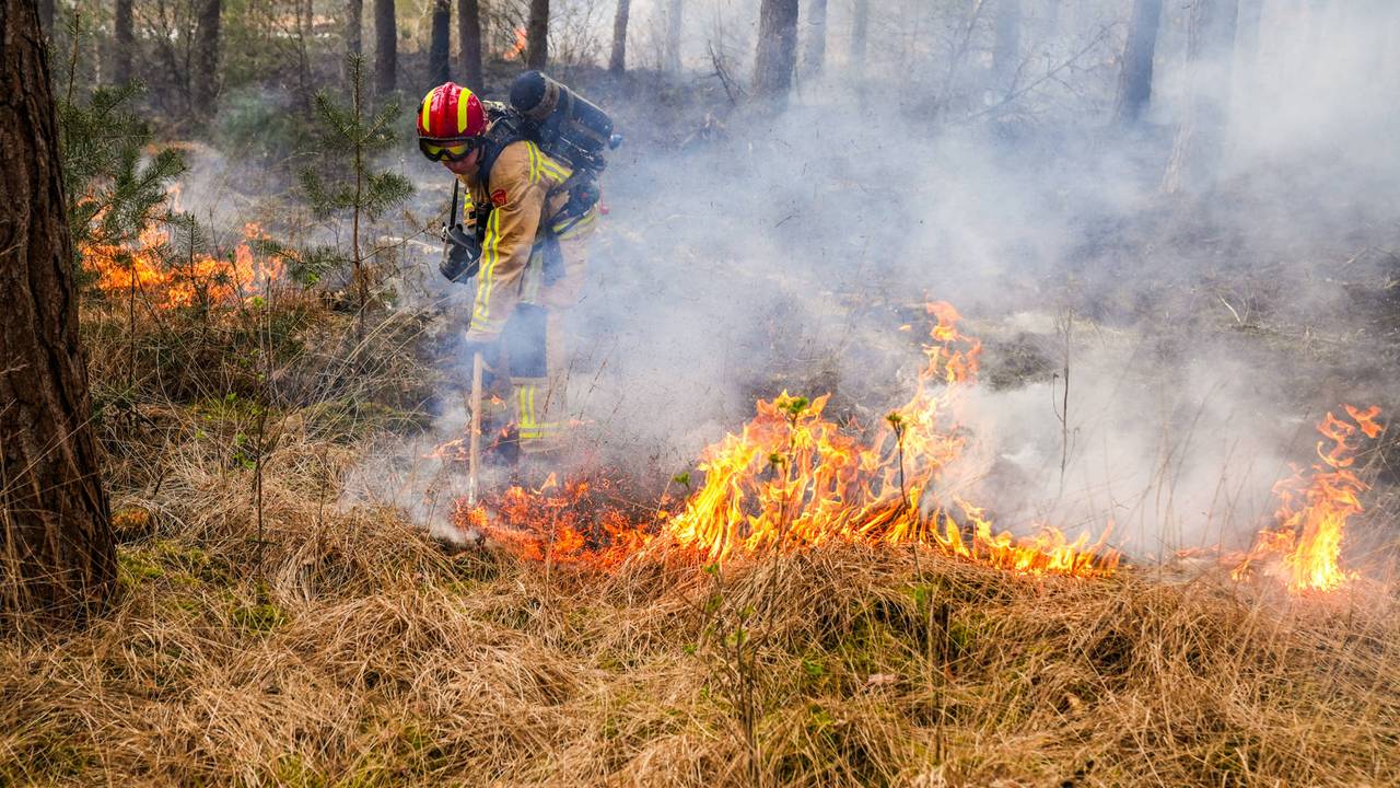 Bosbrand in Heeze onder controle, brandweer nog bezig met nablussen (foto: Dave Hendriks / Persbureau Heitink).