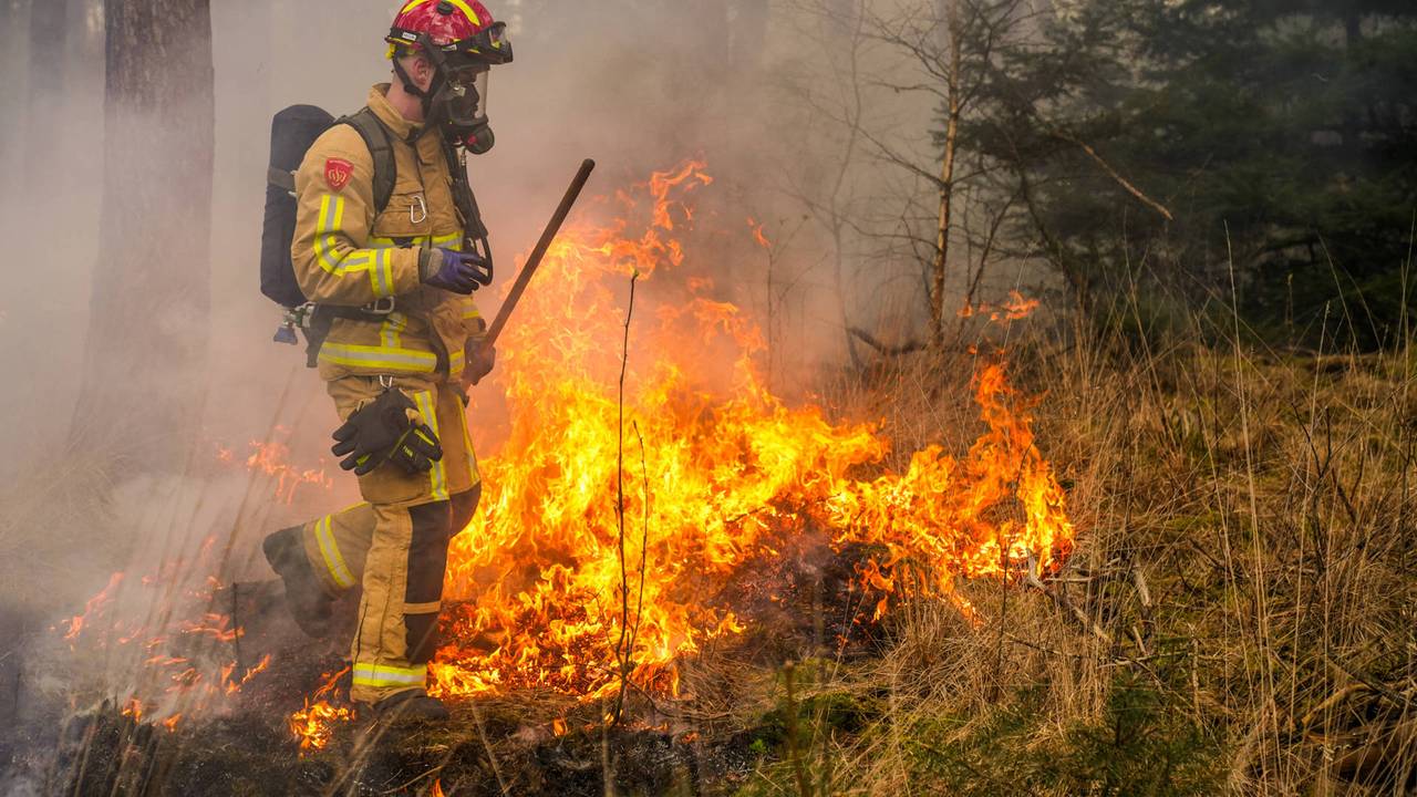 Bosbrand in Heeze onder controle, brandweer nog bezig met nablussen (foto: Dave Hendriks / Persbureau Heitink).