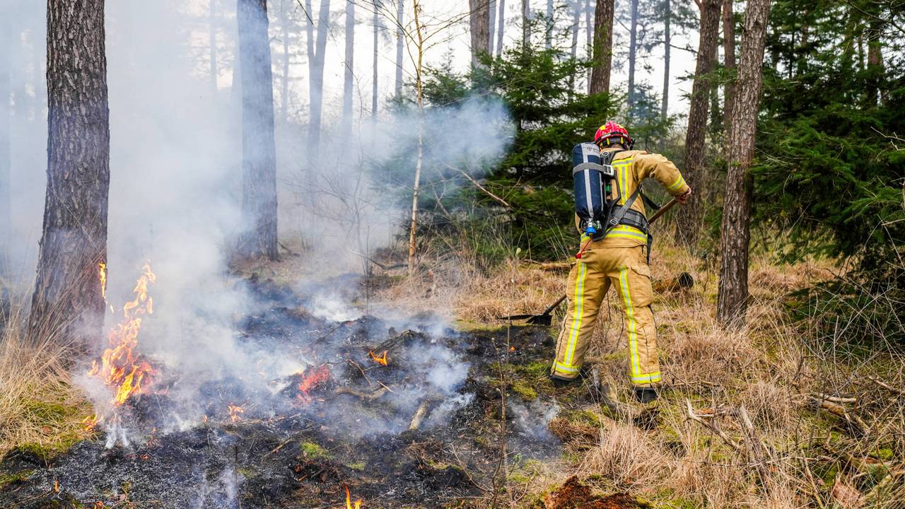 Bosbrand in Heeze onder controle, brandweer nog bezig met nablussen (foto: Dave Hendriks / Persbureau Heitink).