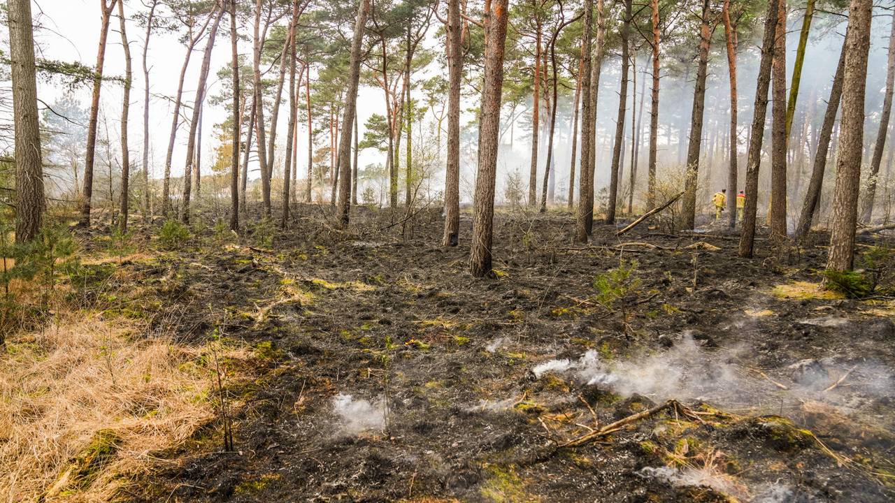 Bosbrand in Heeze onder controle, brandweer nog bezig met nablussen (foto: Dave Hendriks / Persbureau Heitink).