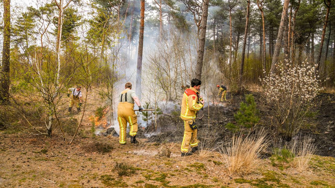 Bosbrand in Heeze onder controle, brandweer nog bezig met nablussen (foto: Dave Hendriks / Persbureau Heitink).