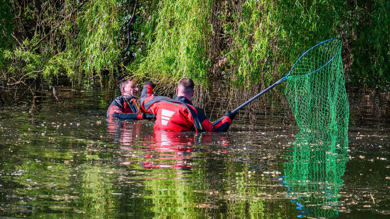 Foto: Tom van der Put/Persbureau Heitink.