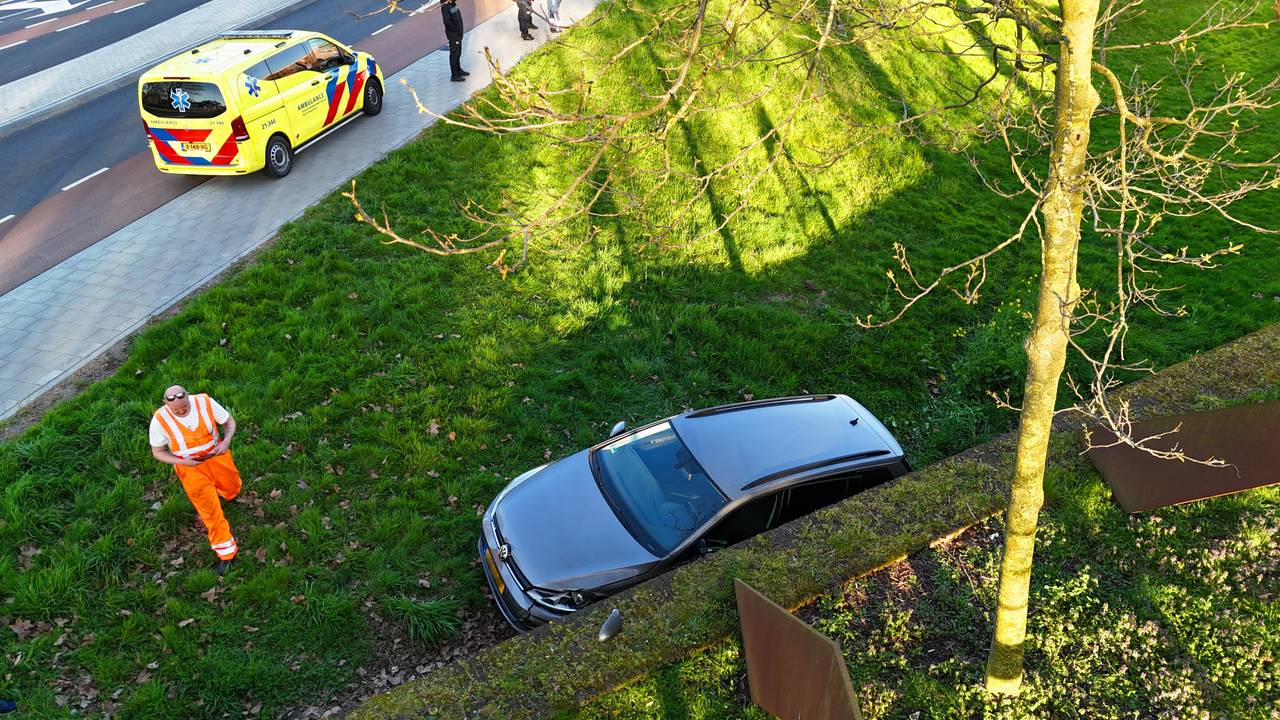 De auto belandde in het gras in Den Bosch (foto: Bart Meesters/Persbureau Heitink).