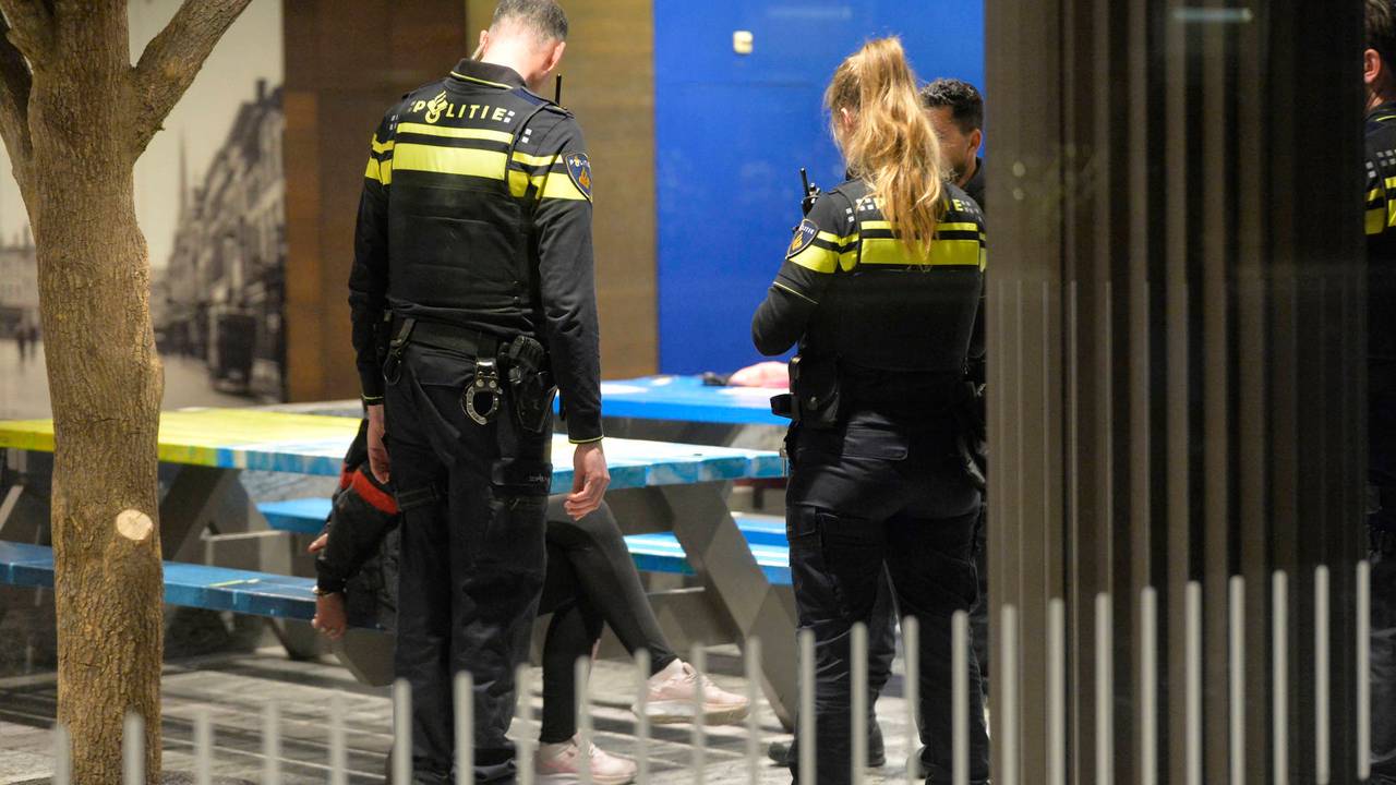 Steekpartij gemeld op NS Station Breda, vrouw aangehouden