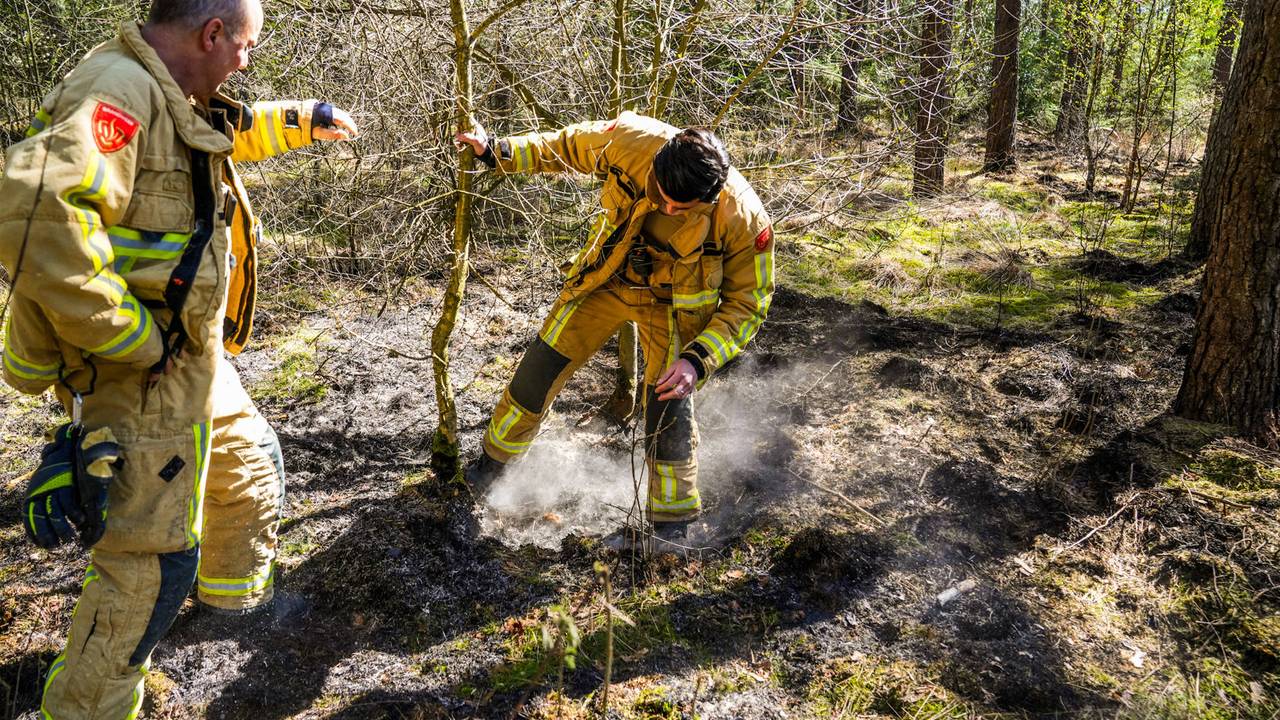 Wéér stuk gras in bos in brand in Heeze