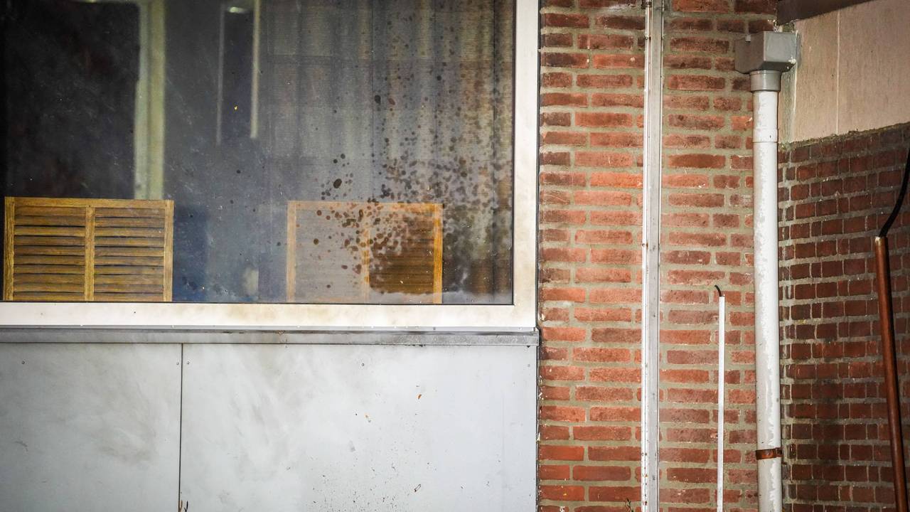 Foto: Persbureau Heitink