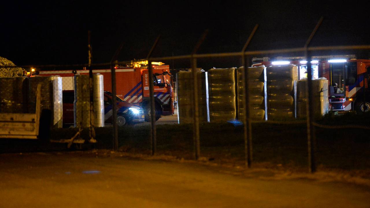 Foto: Perry Roovers/Persbureau Heitink.