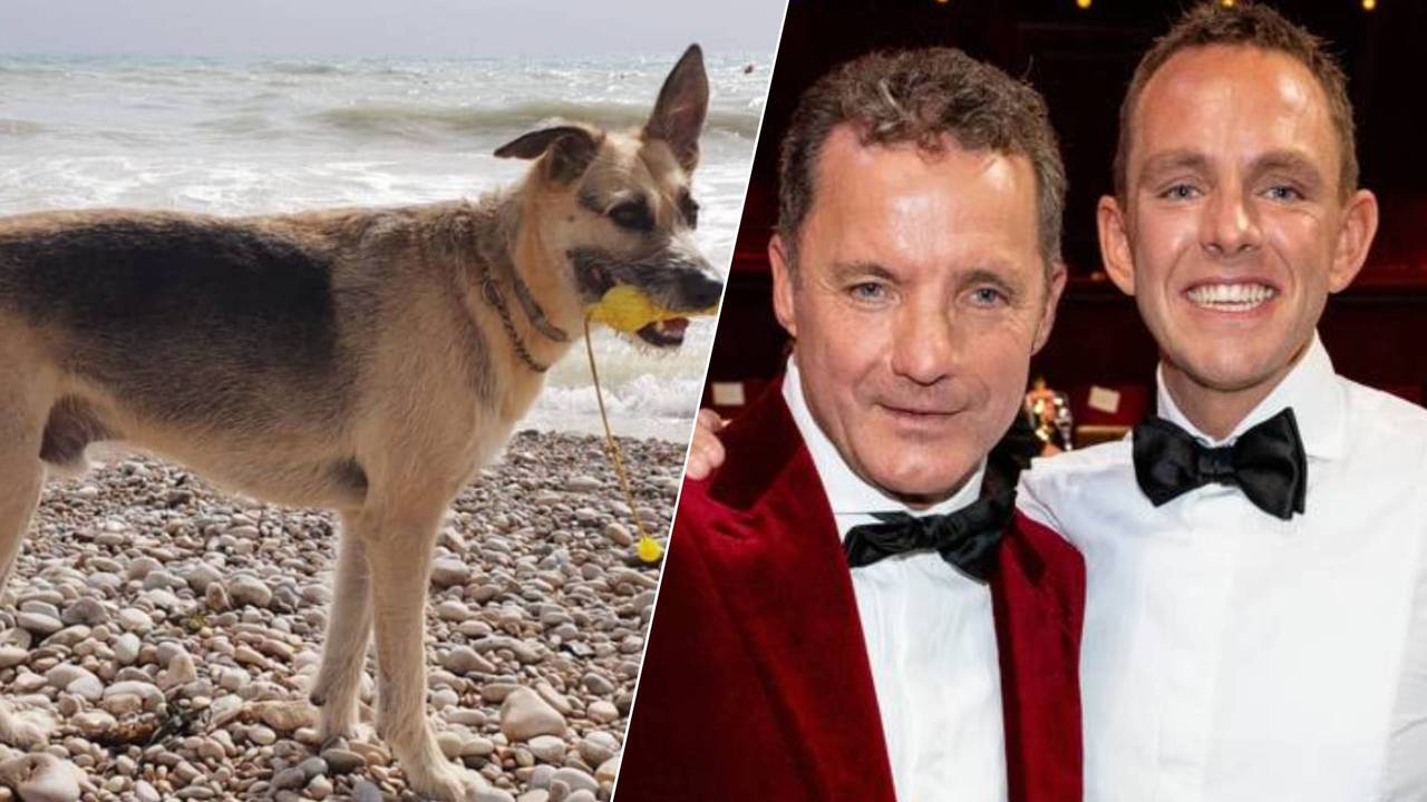 De hond van John en Kees de Bever is overleden (foto's: John en Kees de Bever en ANP/Hollandse Hoogte/MMP Mischa Schoemaker).