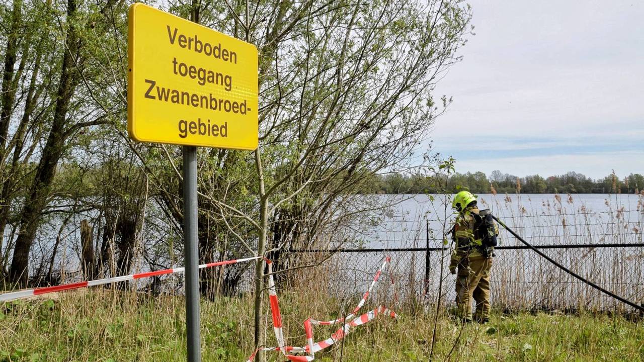 Foto: Toby de Kort/Persbureau Heitink.