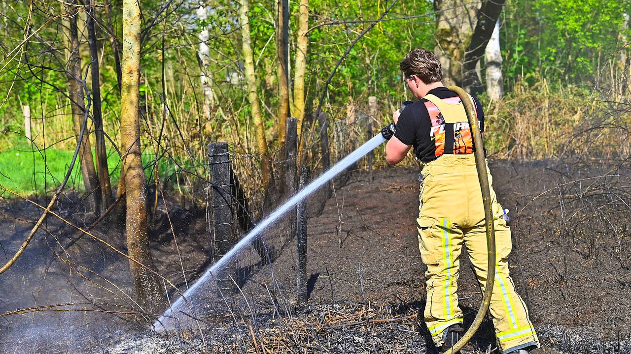 Natuurbrand in Valkenswaard, politie gaat uit van brandstichting