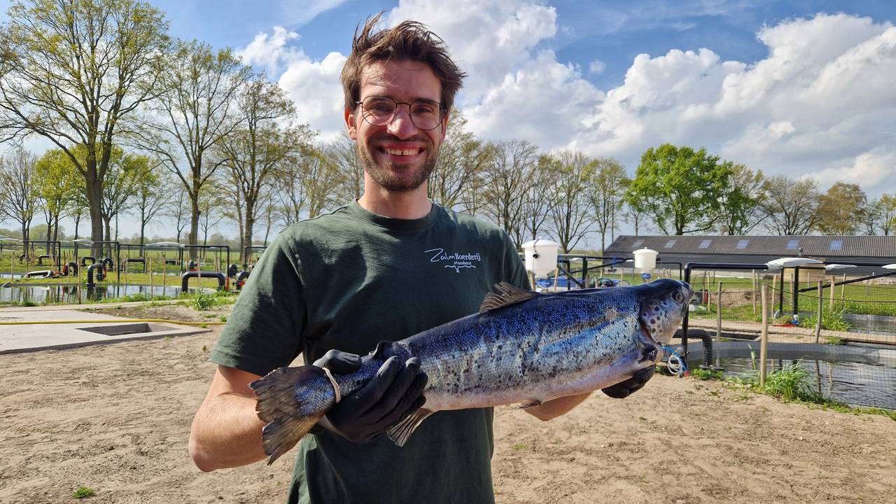 Eerste zalmboerderij van Nederland