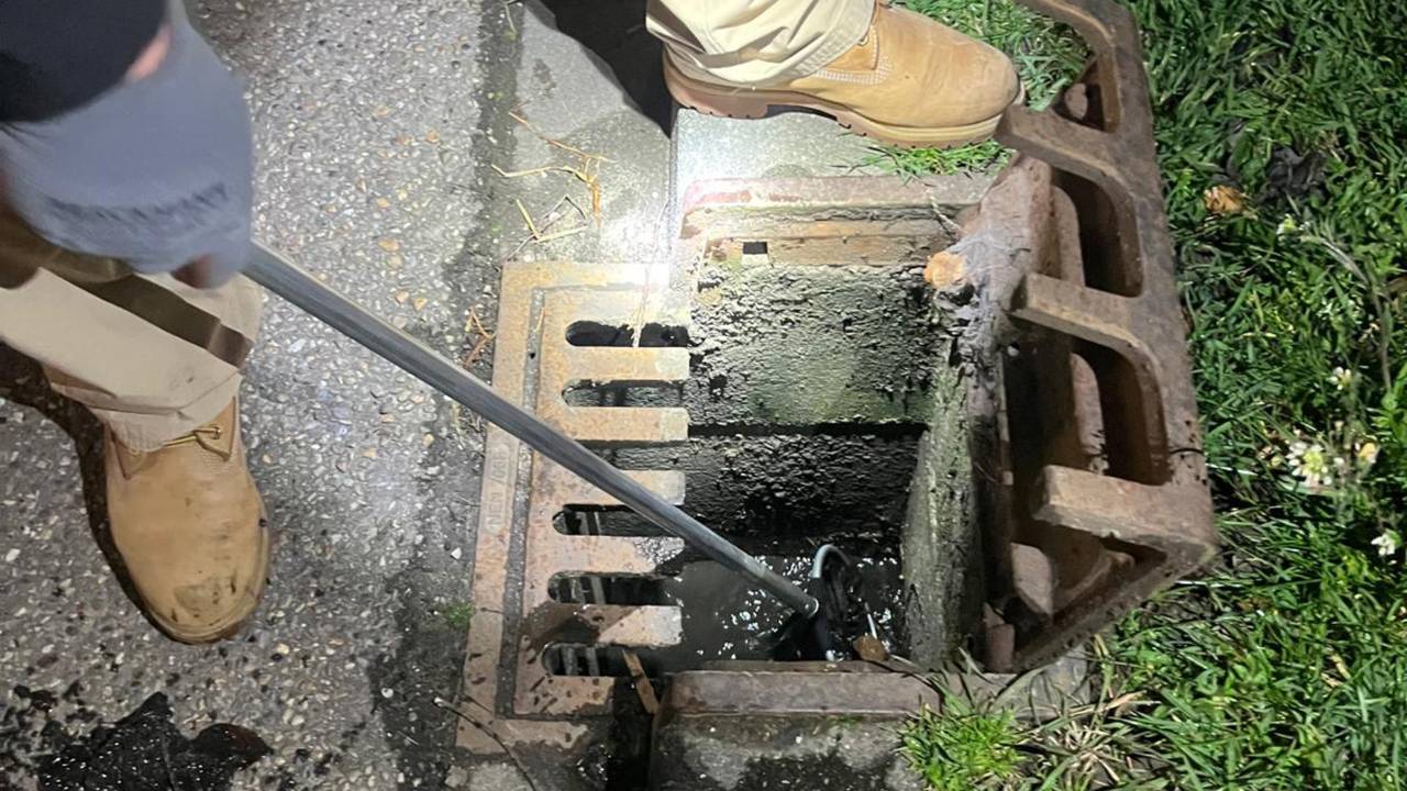 Er wordt gekeken of er amfibieën in het afvoerputje zijn gevallen (foto: Sofie van Kuijk)