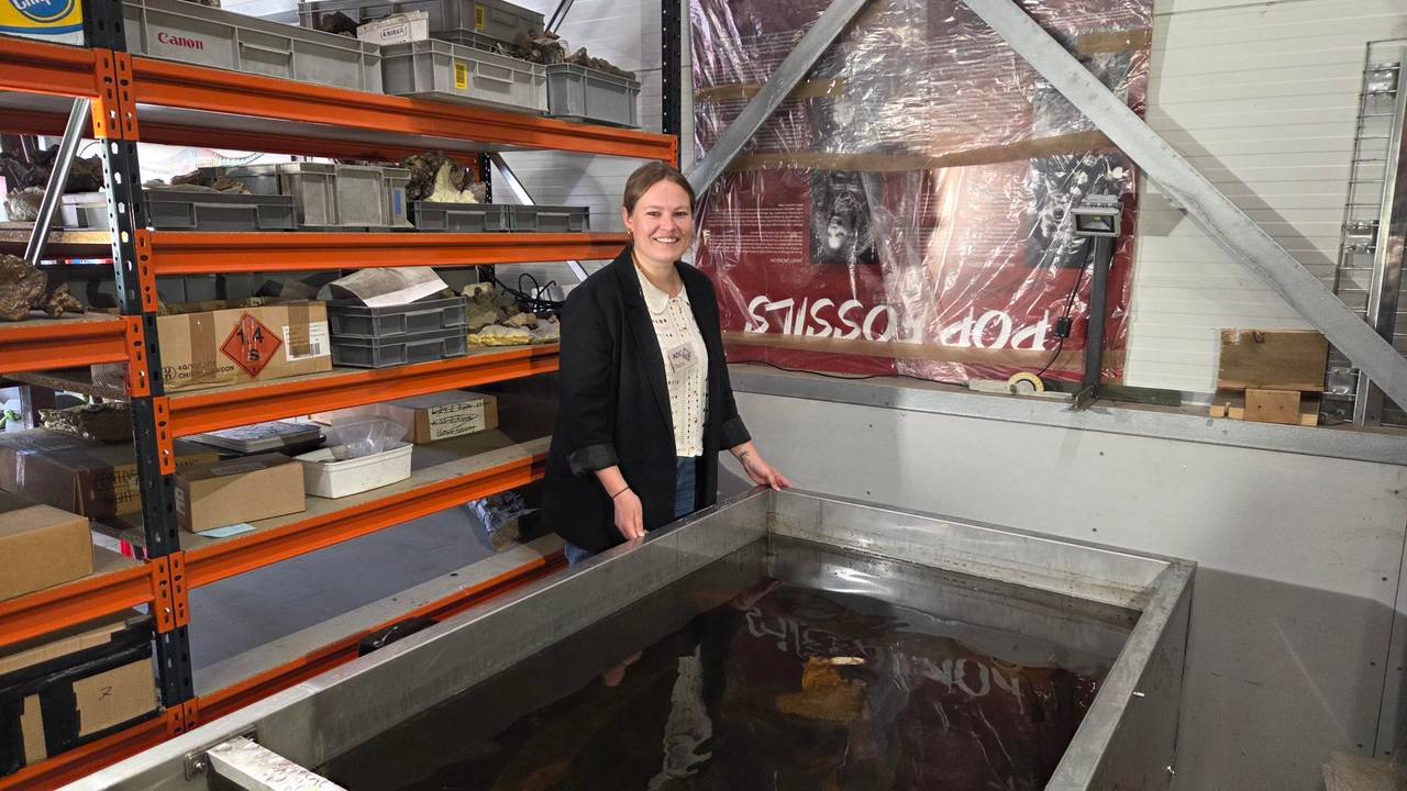 Oudste kano van Brabant voor het eerst te bewonderen in Oertijdmuseum