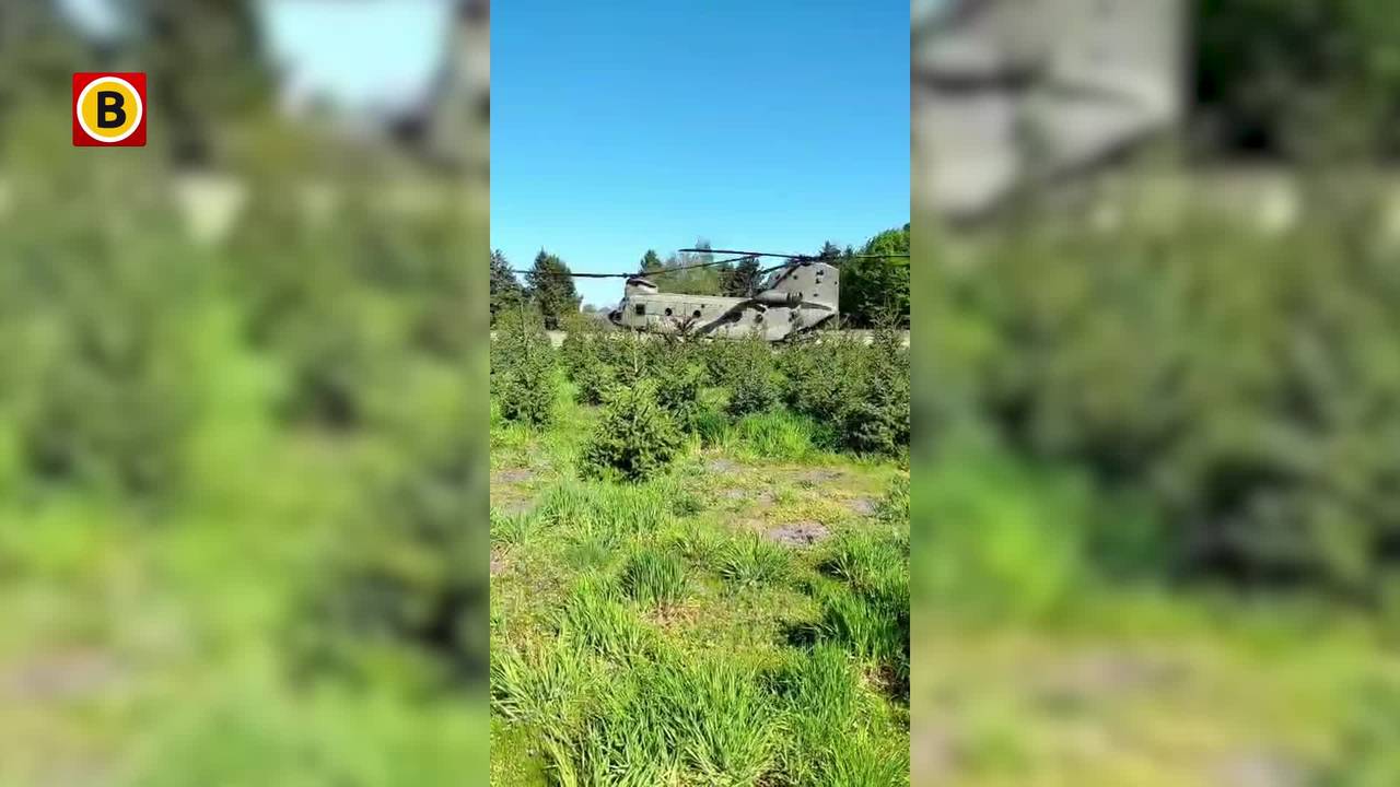 Chinook-helikopter landt tussen kerstbomen in tuin van René