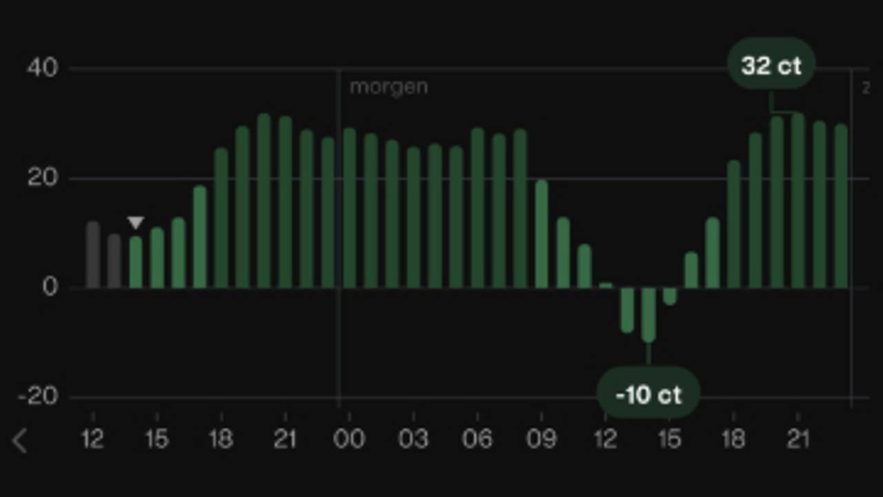 De deels negatieve stroomprijzen op zaterdag, exclusief btw en energiebelasting, van zaterdag (beeld: app Zonneplan).