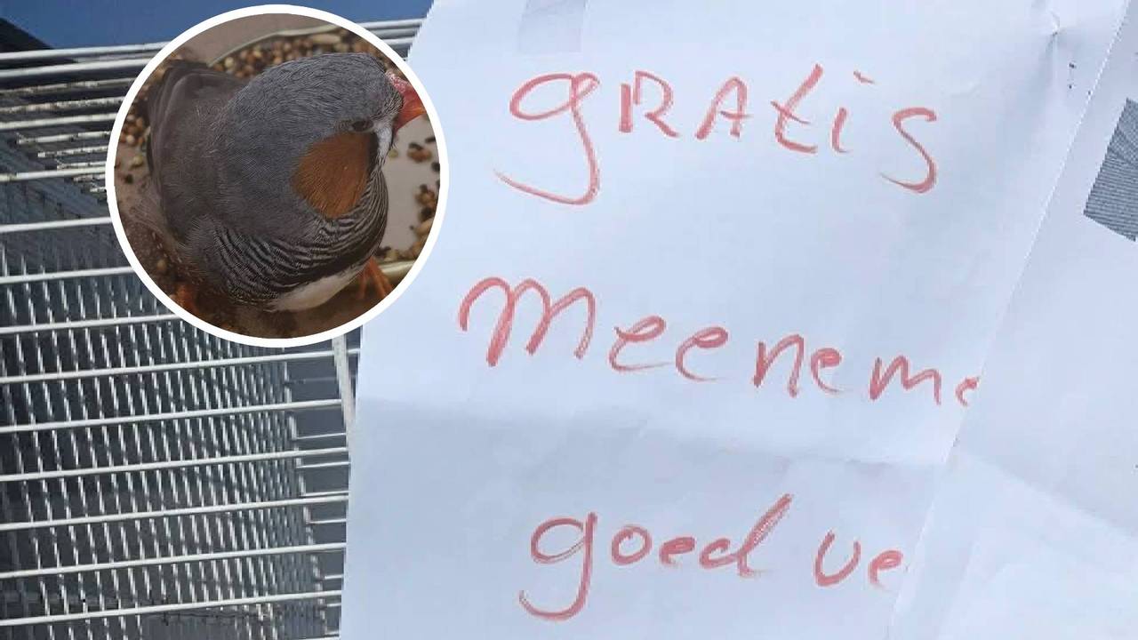 Foto: Dierenambulance Maasland/Facebook.