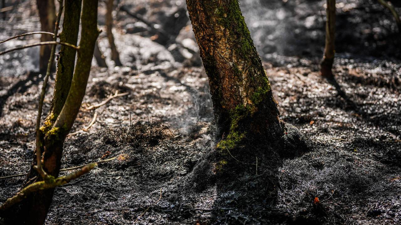 Foto: Persbureau Heitink 