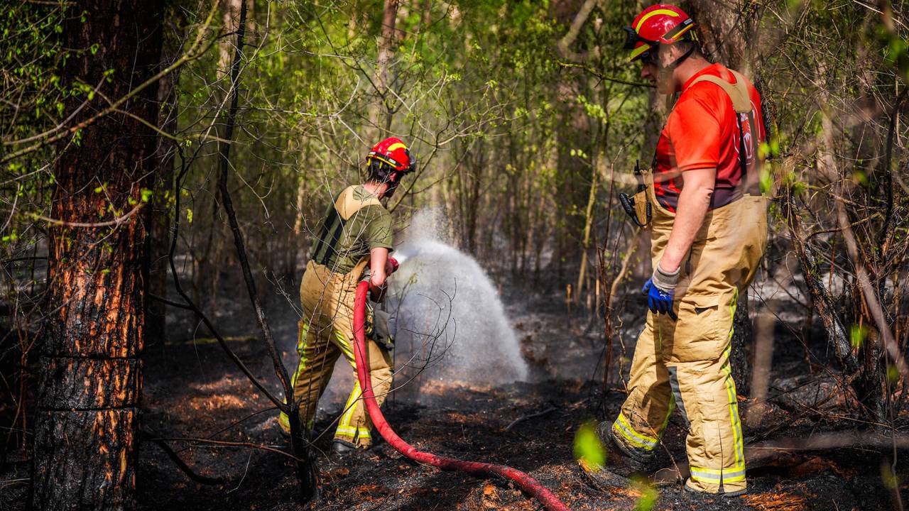 Voor de vijfde keer brand in een bosgebied in vier dagen in Middelbeers (foto: Persbureau Heitink).