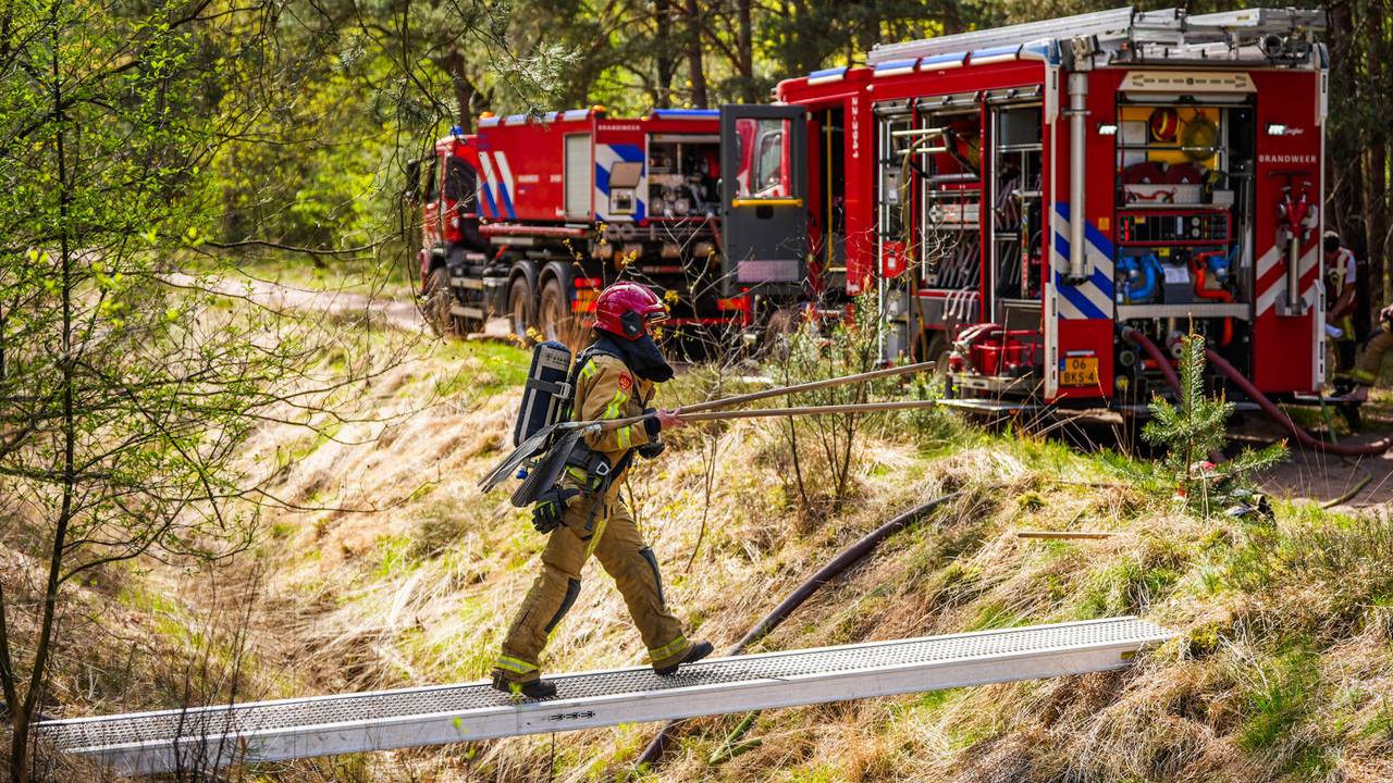 Voor de vijfde keer brand in een bosgebied in vier dagen in Middelbeers (foto: Persbureau Heitink).