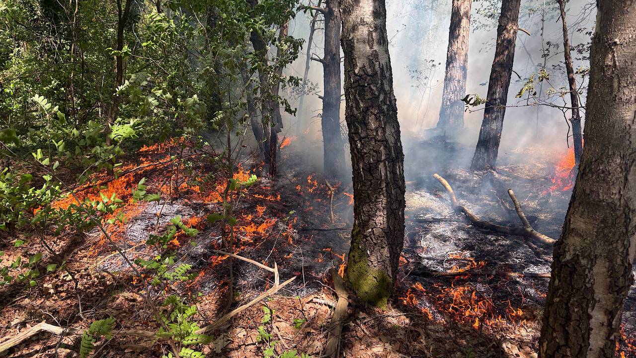 Foto: Jeroen Stuve/Persbureau Heitink.