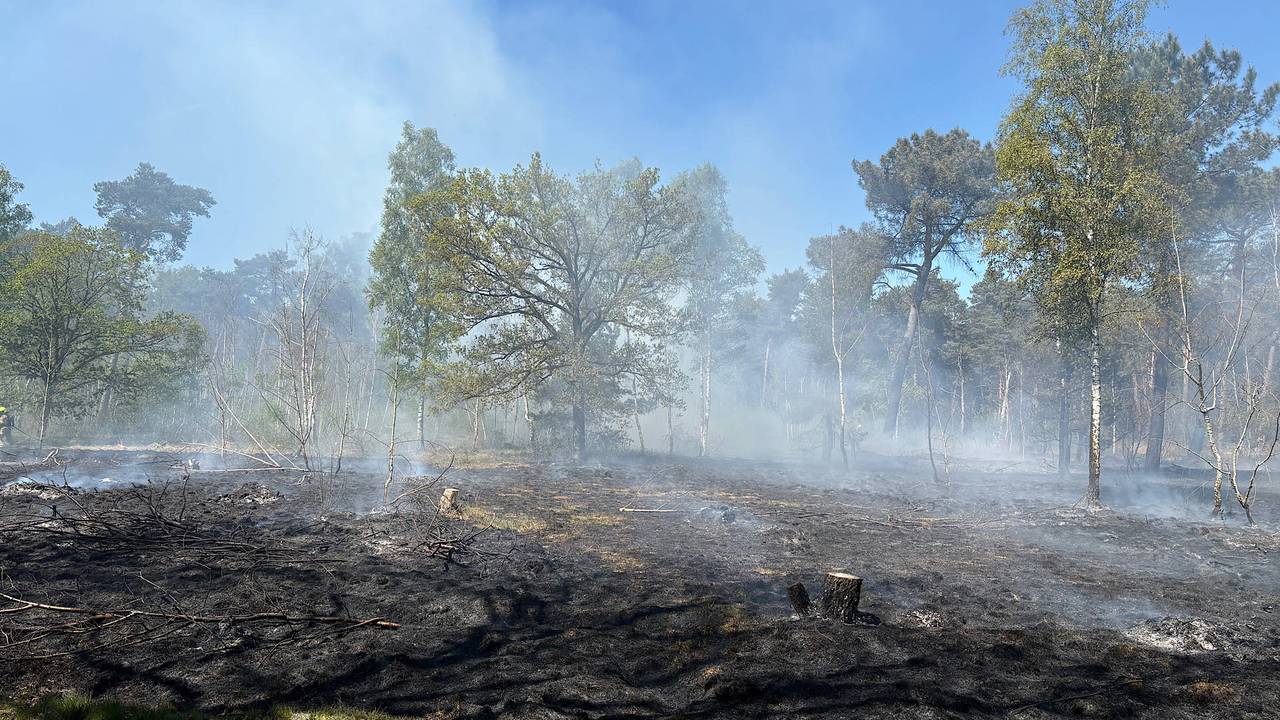 Grote bosbrand bij TIlburg (foto: Jeroen Stuve/Persbureau Heitink).
