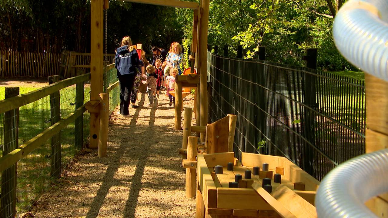 De knikkerbaan is 24 meter lang en op het parcours staan allerlei hindernissen (foto: Omroep Brabant).