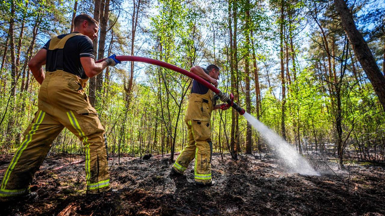 Foto: Persbureau Heitink.