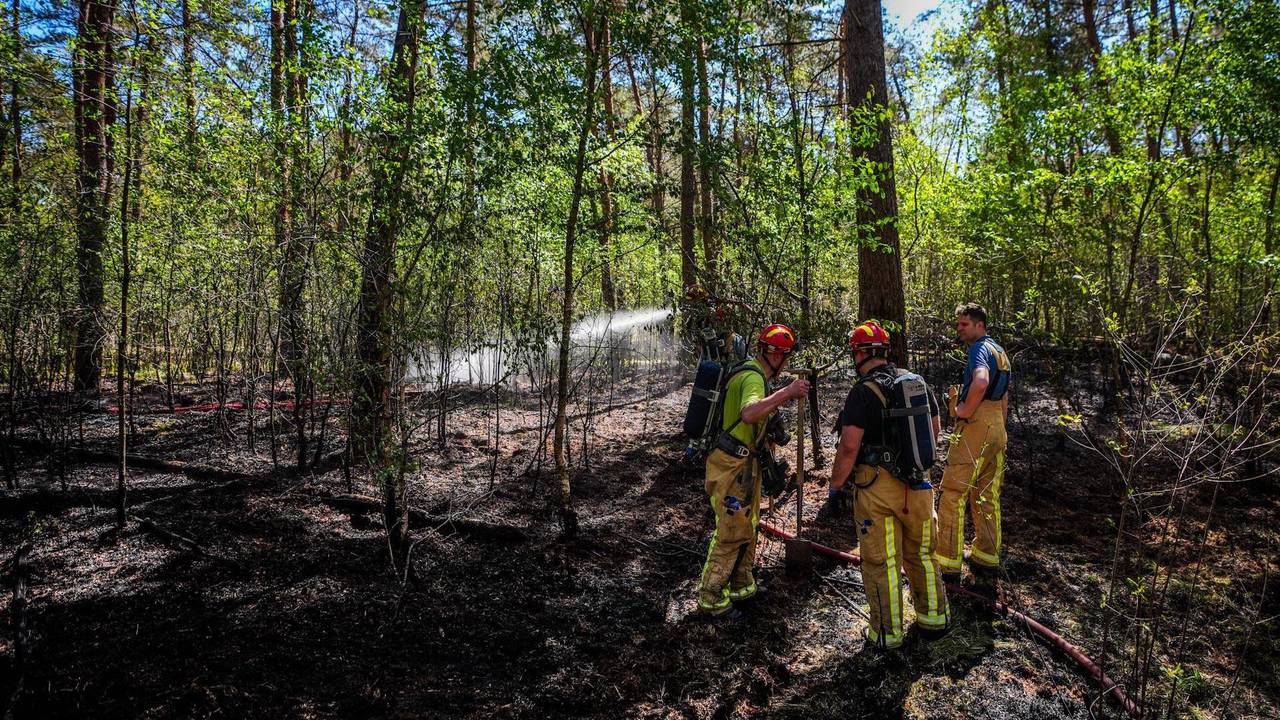 Opnieuw brand in bosgebied tussen Middelbeers en Oirschotse heide