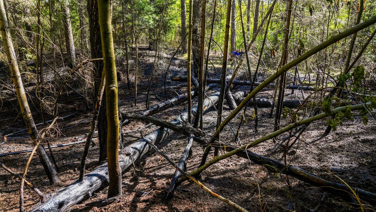 Foto: Dave Hendriks / Persbureau Heitink