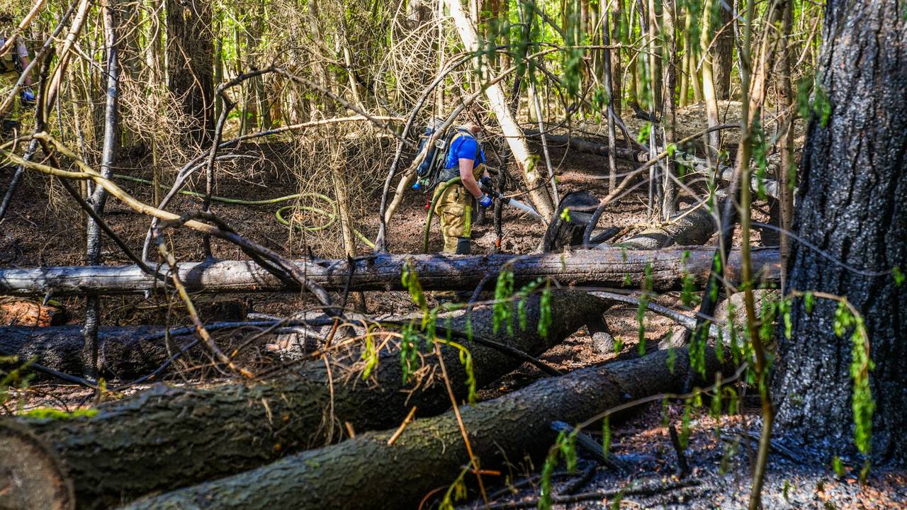 Foto: Dave Hendriks / Persbureau Heitink