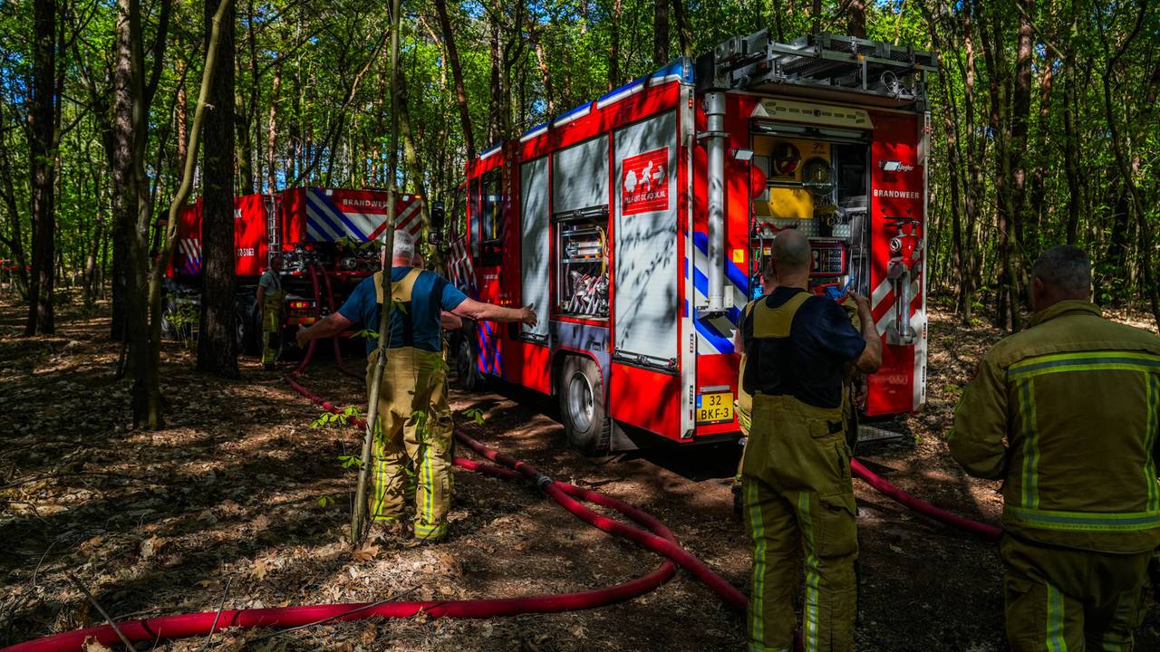 Foto: Dave Hendriks / Persbureau Heitink