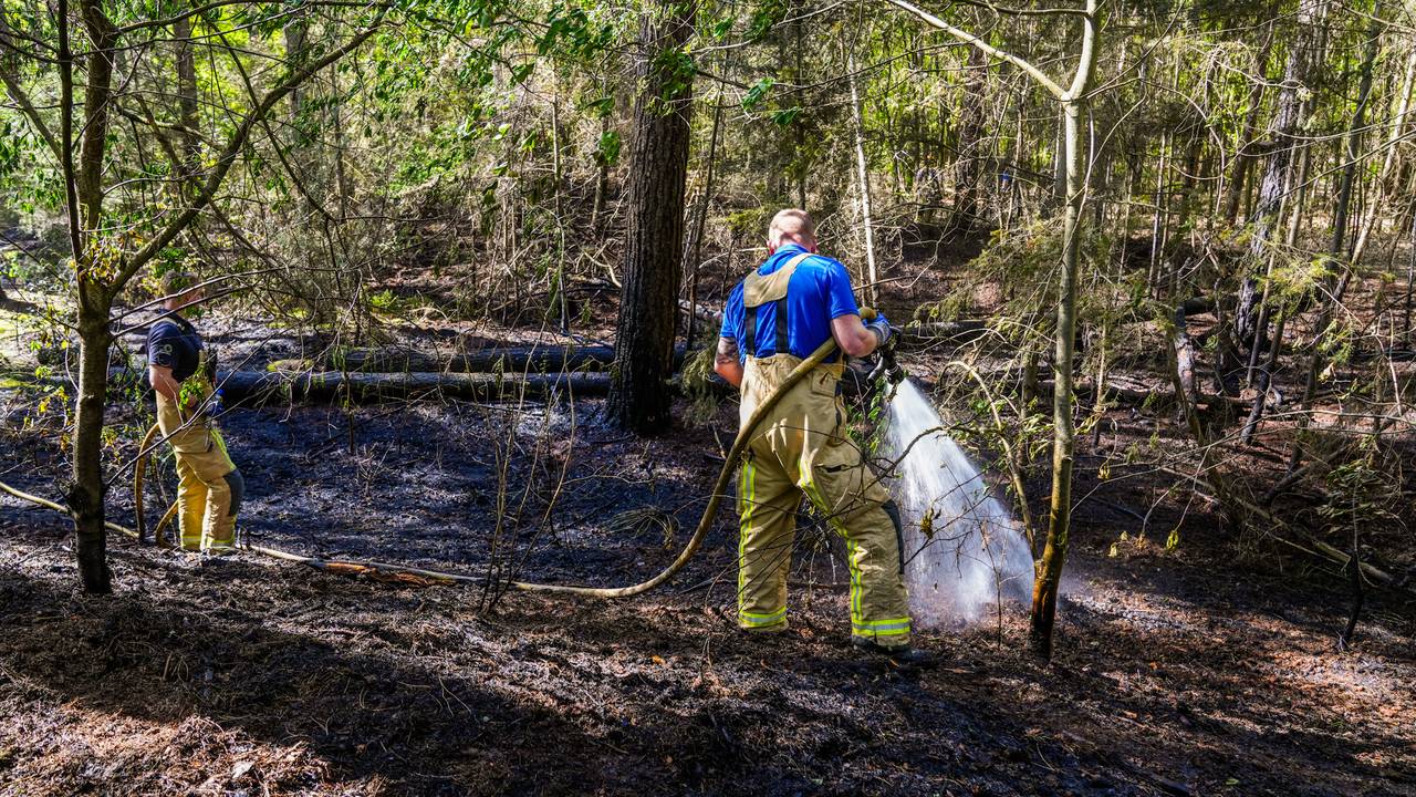 Foto: Dave Hendriks / Persbureau Heitink