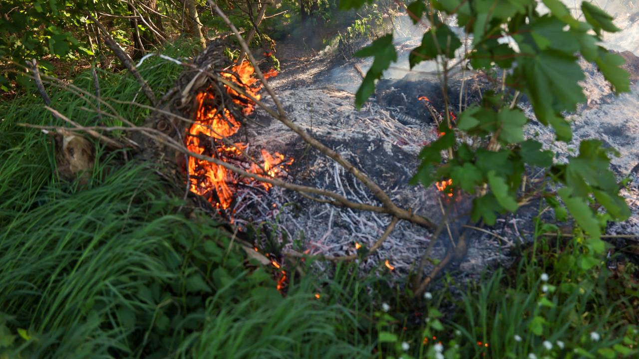 Foto: Addy Smits / Persbureau Heitink