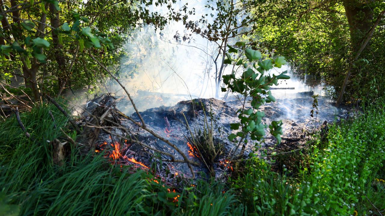 Klein brandje ontdekt door omstanders in bos van Odiliapeel