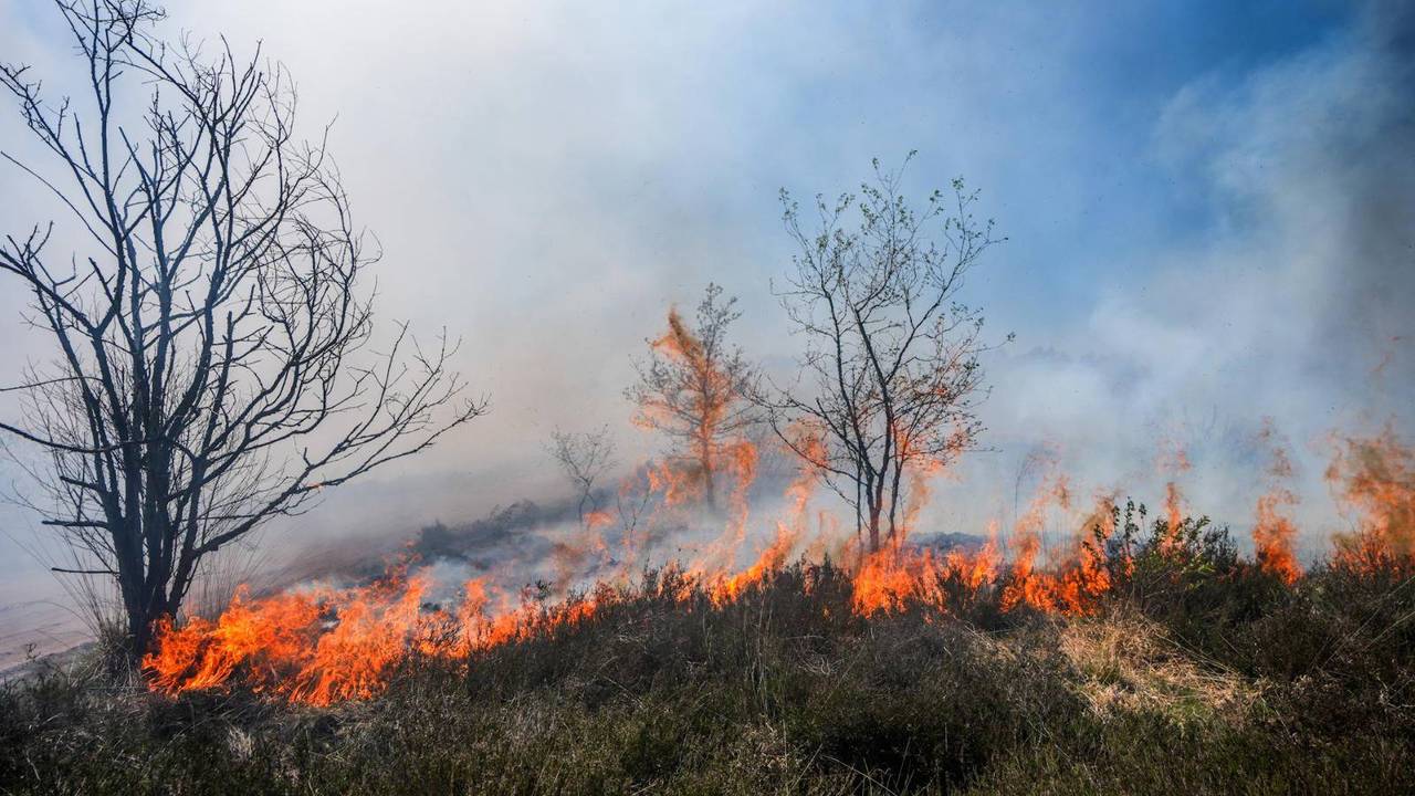 Zeer grote brand op de Oirschotse Heide (foto: Persbureau Heitink).